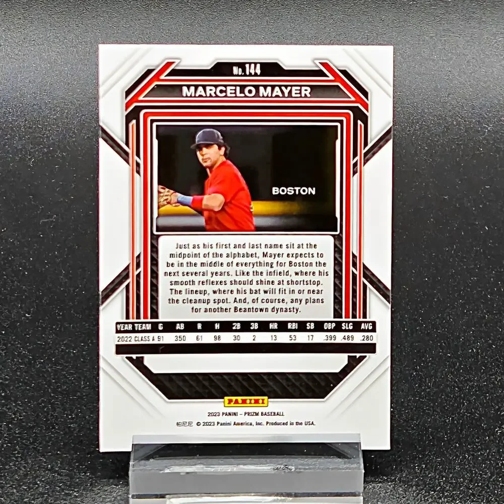 Panini marcelo mayer